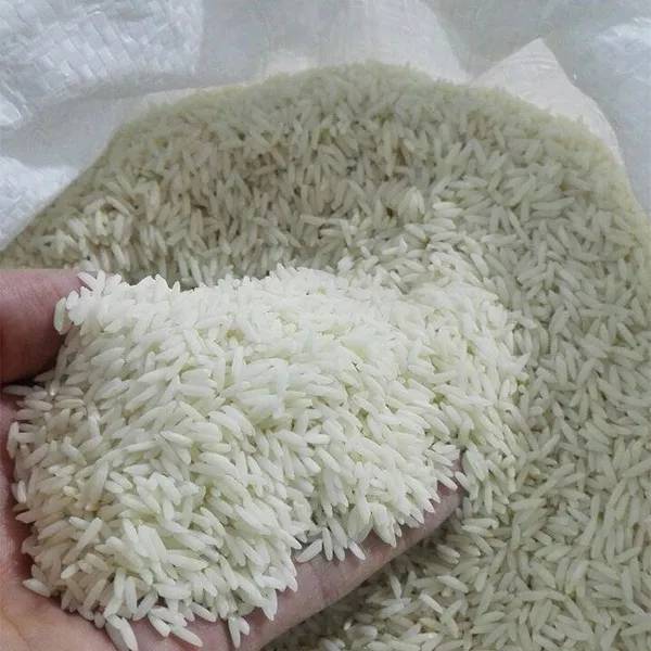 فروش برنج هاشمی ممتاز + قیمت خرید به صرفه